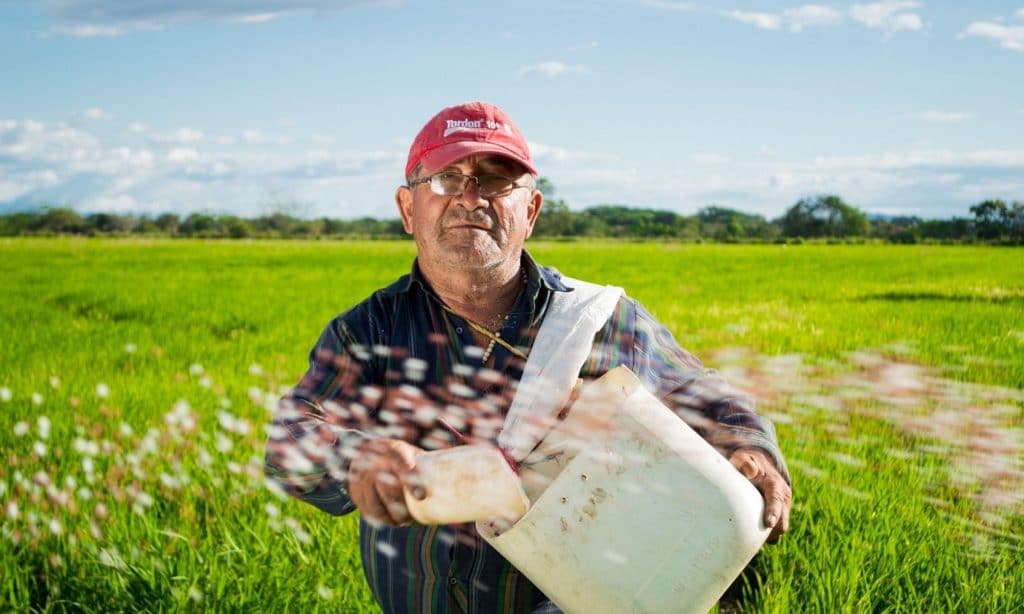 Agriculture