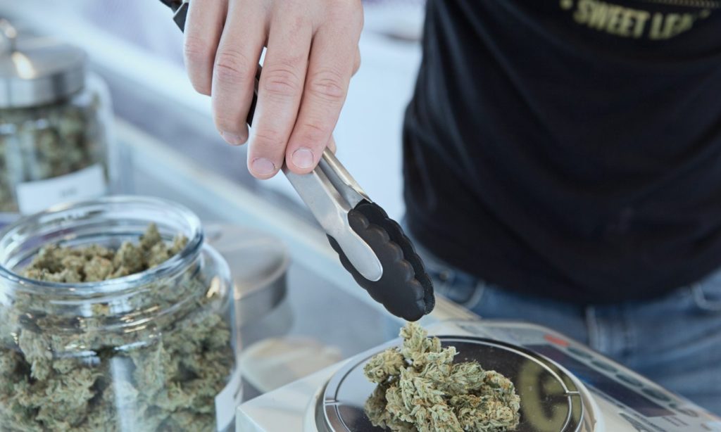 marijuana jobs