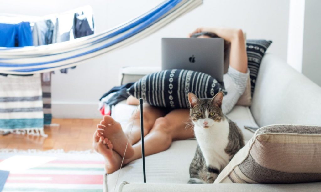flexible work arrangements
