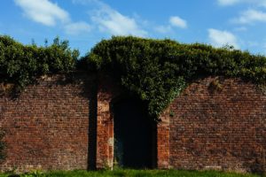 bricks-wall-garden-door